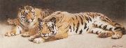 John Charles Dollman Two Wild Tigers France oil painting artist